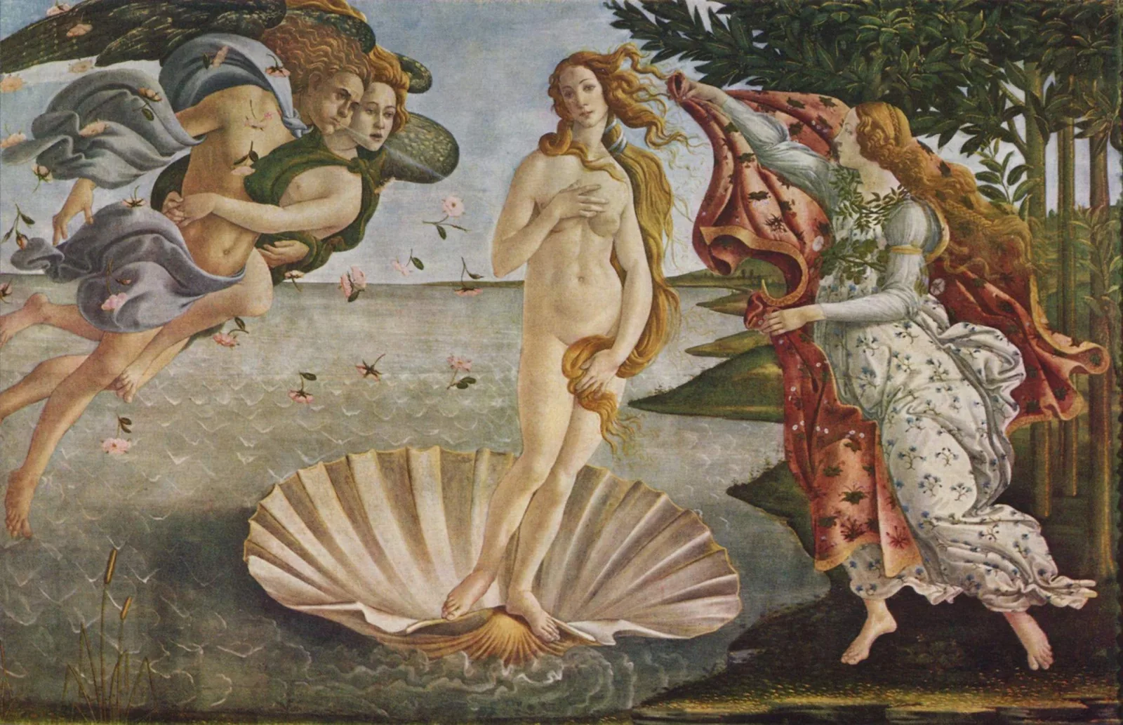 Duotone print of Botticelli's Birth of Venus